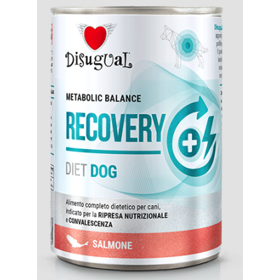 Disugual Cane diet Recovery Salmone...