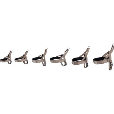 Flamingo Pettorina Norvegese per Cane...