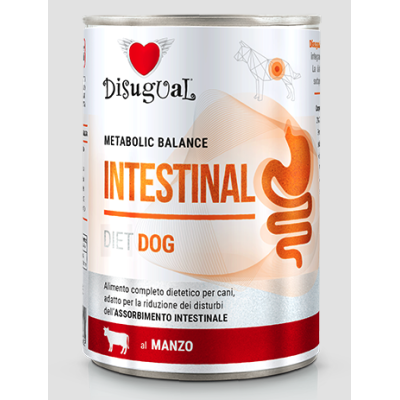 Disugual Cane diet Intestinal Manzo...