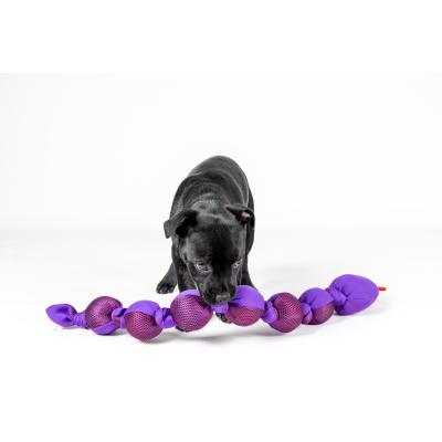 Flamingo Gioco per Cane Serpente con...