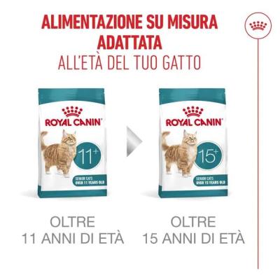 Royal Canin Gatto Ageing 11+