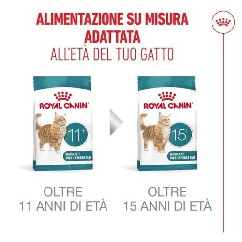 Royal Canin Gatto Ageing 11+