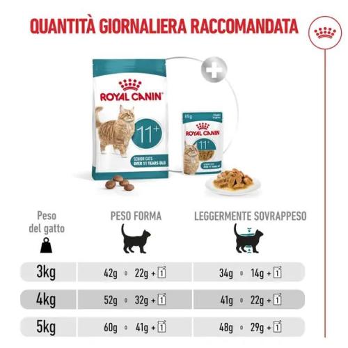 Royal Canin Gatto Ageing 11+