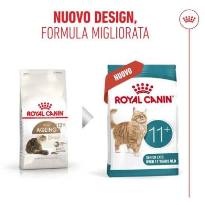 Royal Canin Gatto Ageing 11+