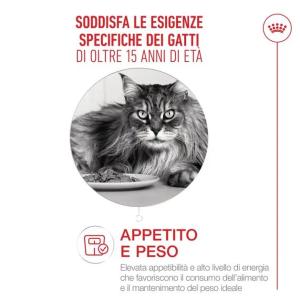 Royal Canin Gatto Ageing 15+ 2