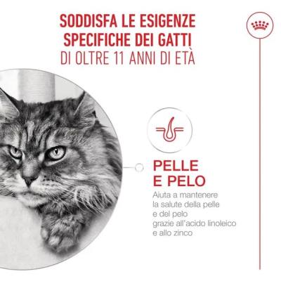 Royal Canin Gatto Ageing 15+