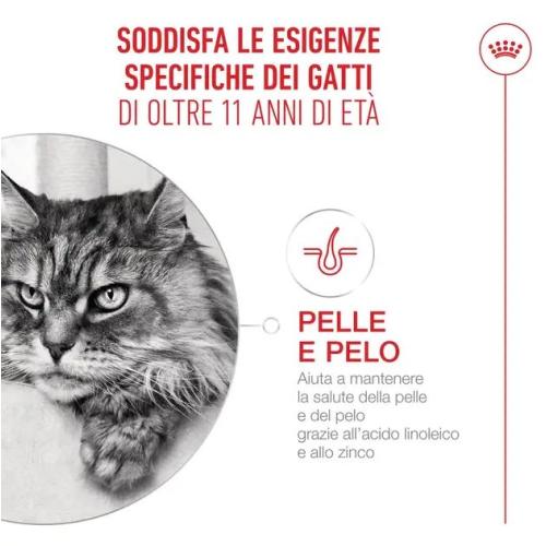 Royal Canin Gatto Ageing 15+