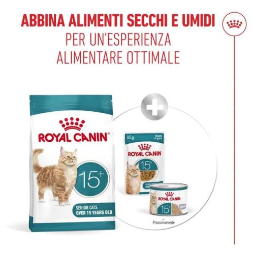 Royal Canin Gatto Ageing 15+