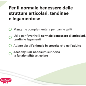 Strutturina compresse 2