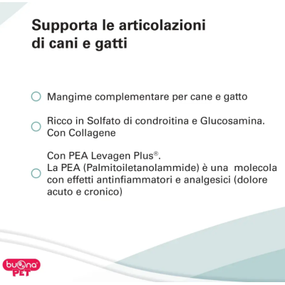 Supporto articolazioni cane e gatti