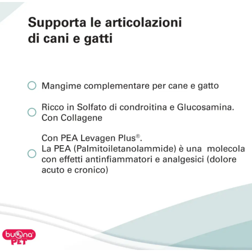 Supporto articolazioni cane e gatti