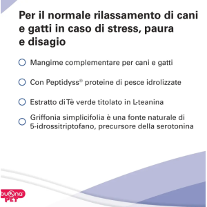 CALMINA CANE E GATTO 2