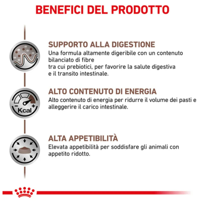 Benefici royal cane gastroinestinal