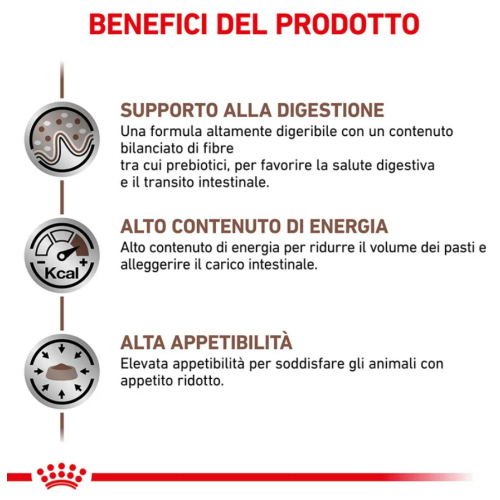 Benefici royal cane gastroinestinal