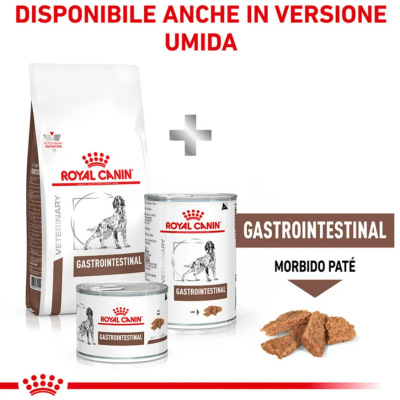 Umido royal canin gastorintestinal