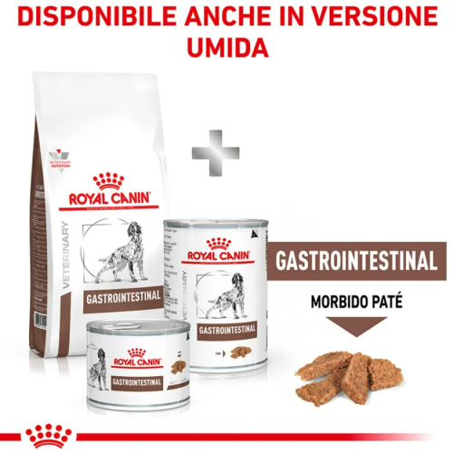 Umido royal canin gastorintestinal