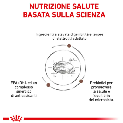 royal canin gastrointestinal cane