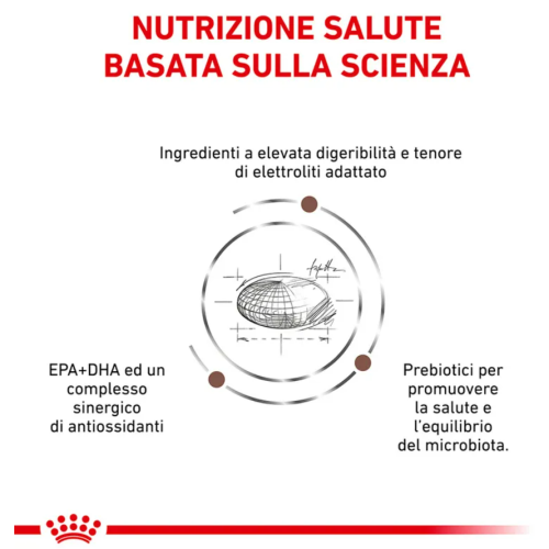 royal canin gastrointestinal cane