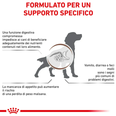 royal canin gastrointestinal cani
