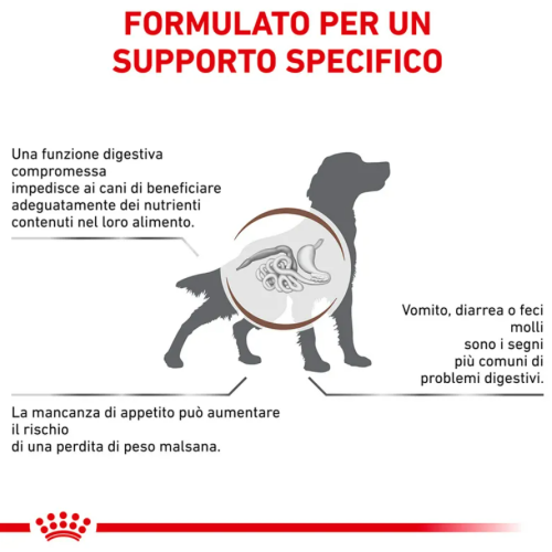 royal canin gastrointestinal cani