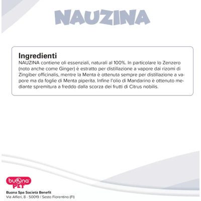 Ingredienti Nauzina cerotti