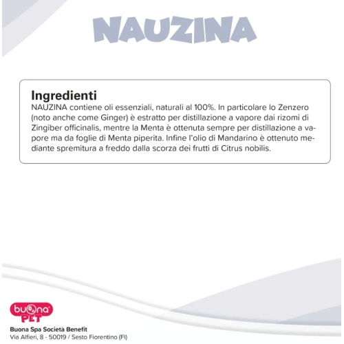 Ingredienti Nauzina cerotti