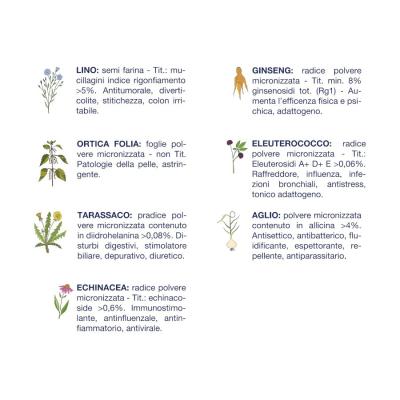 Vetline Cane Adulto Cervo
