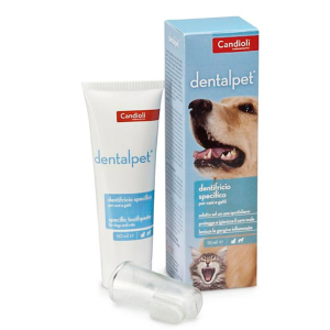 dentificio per cani