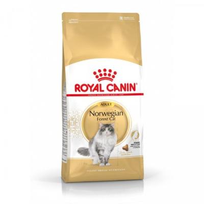 Royal Canin Gatto Norvegese Delle Foreste Adulto 2 Kg
