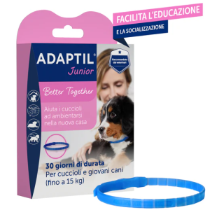 Collare calmante per cuccioli