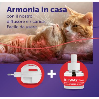 Armonia tra gatti
