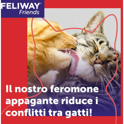 Feromoni per gatti per evitare conflitti
