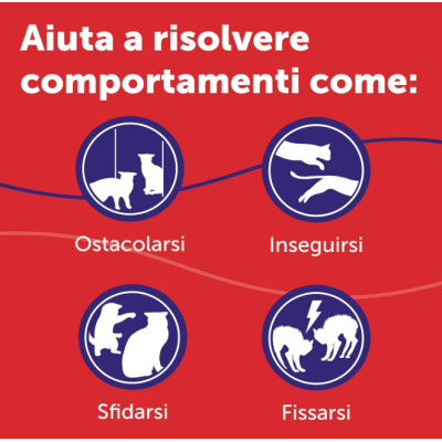 Feliway friens contro i conflitti in casa
