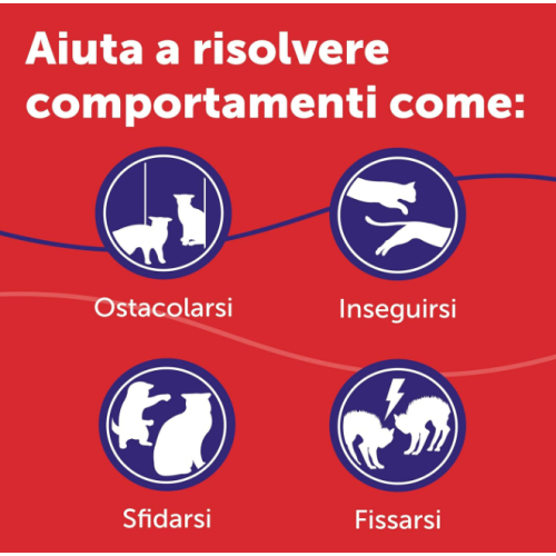 Feliway friens contro i conflitti in casa