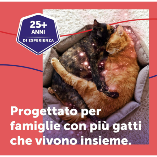 Feliway friends per gatti che vivono insieme