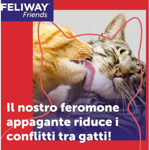 Feromoni calmanti gatto