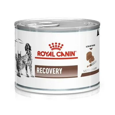 Royal canin recovery gatto e cane