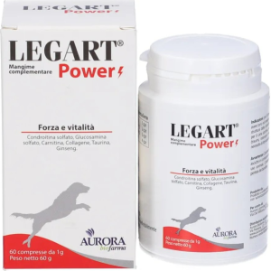 Legart Power