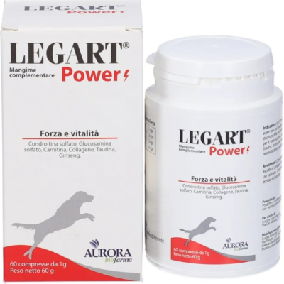 Legart Power