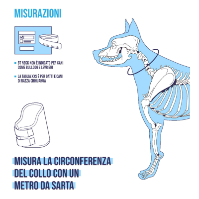 BALTO BT NECK collare rigido ortopedico