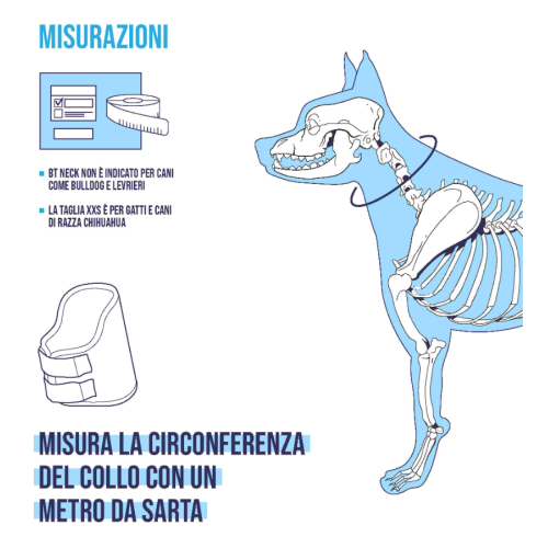 BALTO BT NECK collare rigido ortopedico