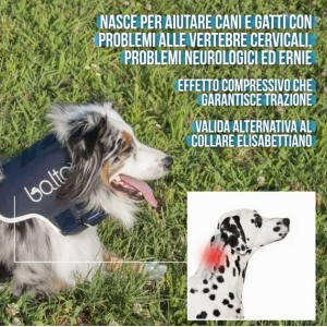 BALTO BT NECK collare rigido ortopedico 2