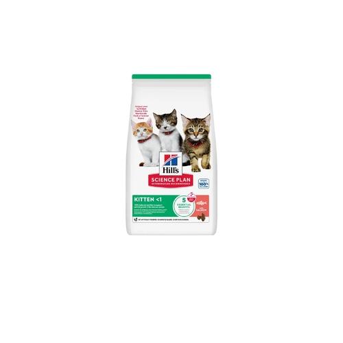 Hill's Gatto Science Plan Kitten Salmone 1,5 kg