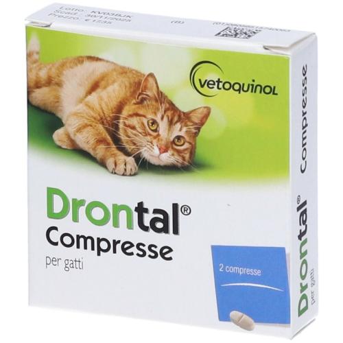 Drontal gatti