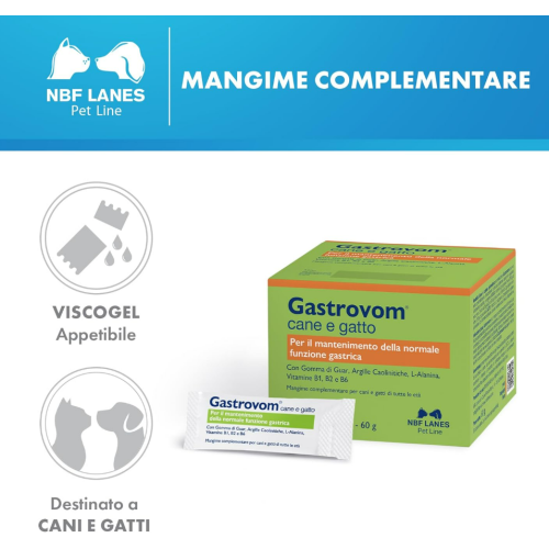 gastrovom stick gel
