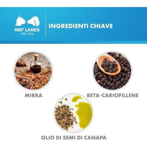 Perognidol Forte composizione