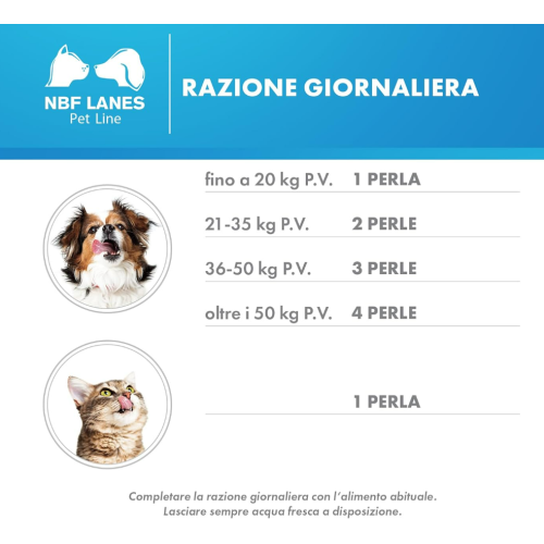 razione perognidol forte perle