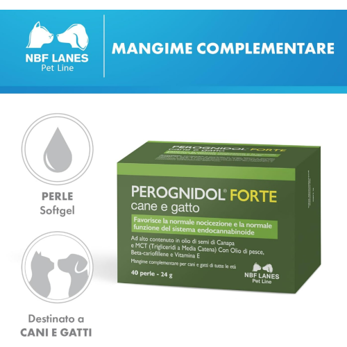 A cosa serve perognidol forte
