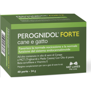 Perognidol Forte perle