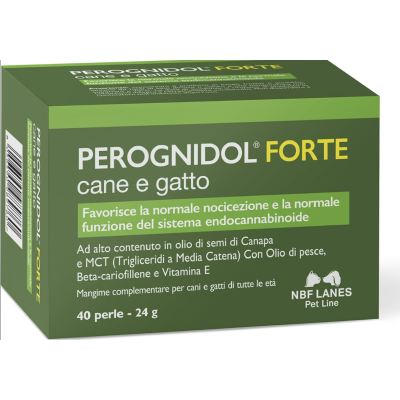 Perognidol Forte perle
